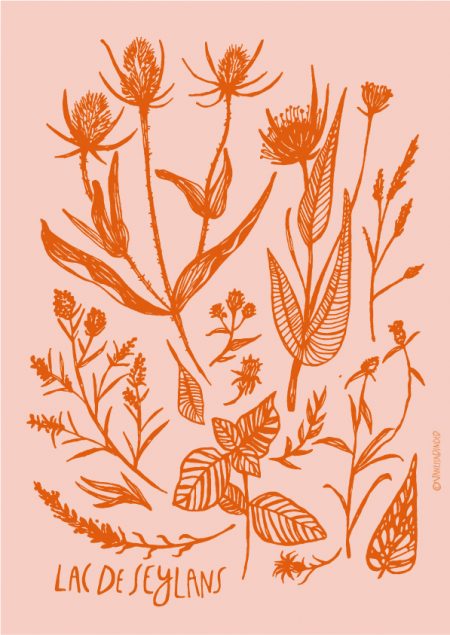 LacDeSeylans_PosterByVanessaBinder-02