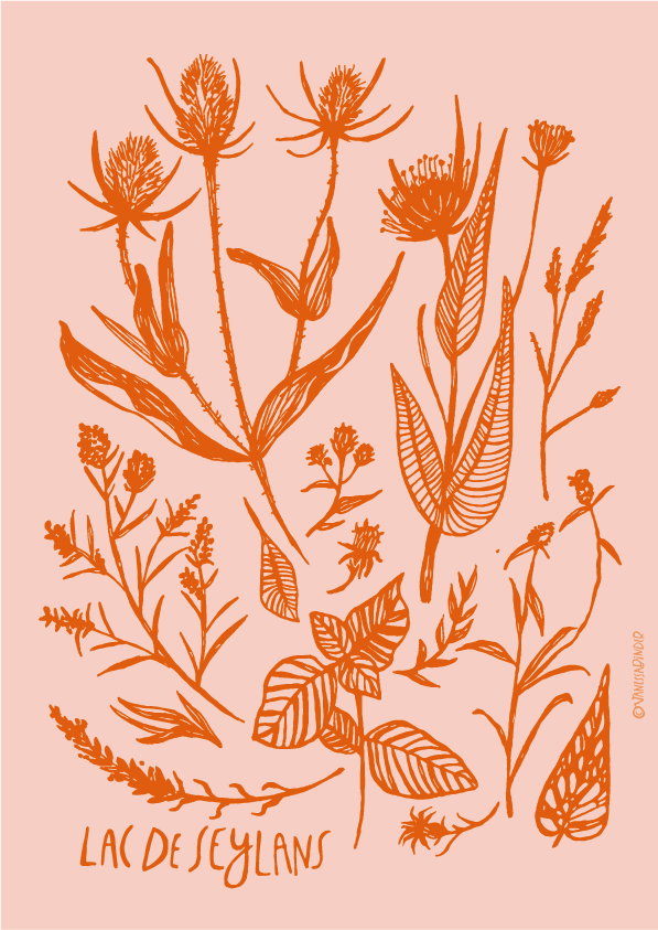 LacDeSeylans_PosterByVanessaBinder-02