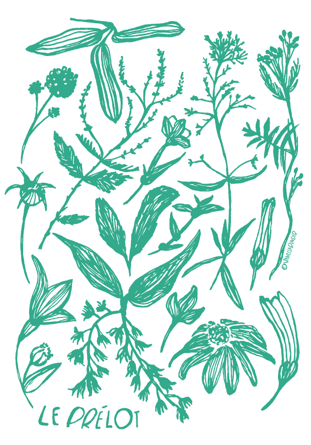 Le Prelot_BotanicalPosterDesign_ByVanessaBinder