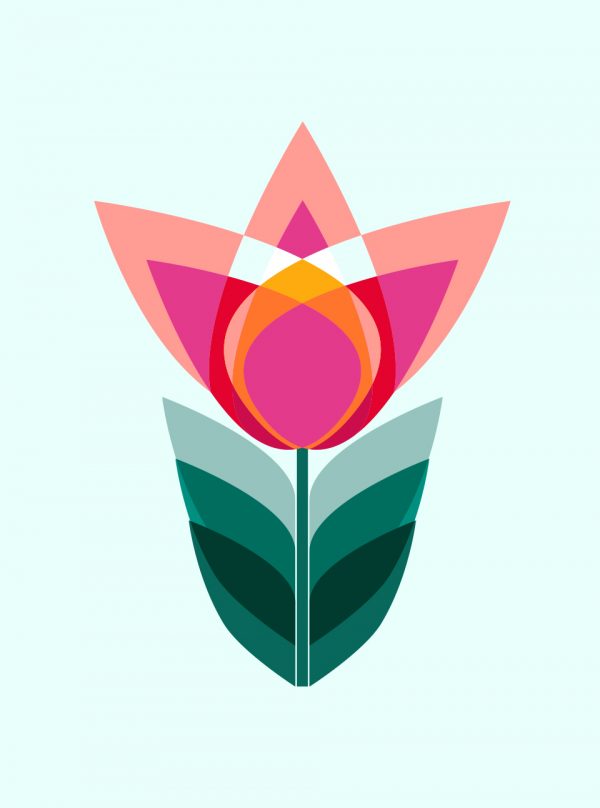 Lillia-logo-design-vanessa-binder
